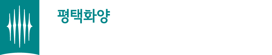 평택화양 서희스타힐스 센트럴파크2차